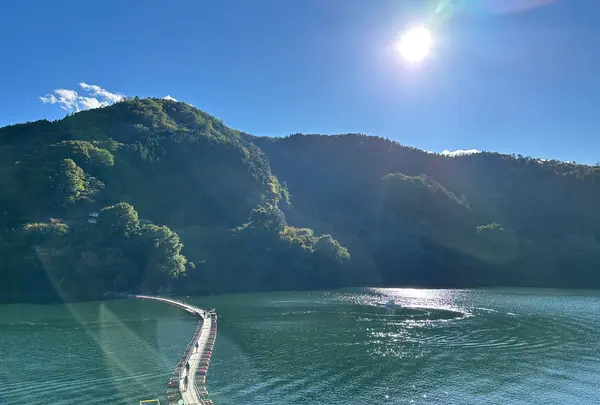 奥多摩湖の写真・動画_image_561247