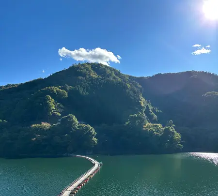 奥多摩湖の写真・動画_image_561248
