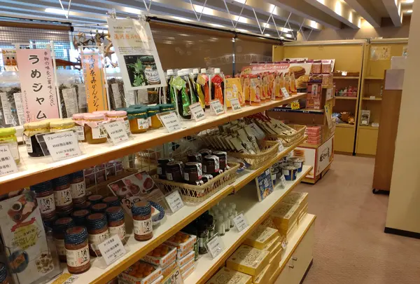 いずみの湯の写真・動画_image_561376