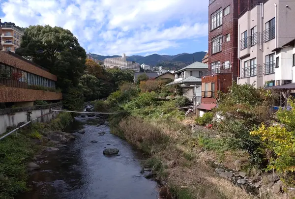 いずみの湯の写真・動画_image_561383