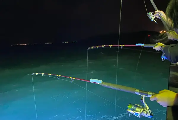 亜曼尼夜釣小管遊艇の写真・動画_image_561404