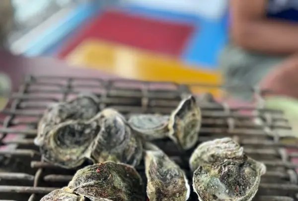 海上皇宮海洋牧場の写真・動画_image_561405