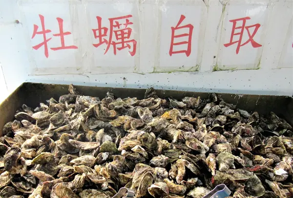 海上皇宮海洋牧場の写真・動画_image_561422