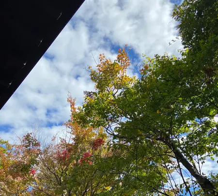 茶屋 卯三郎の写真・動画_image_561475