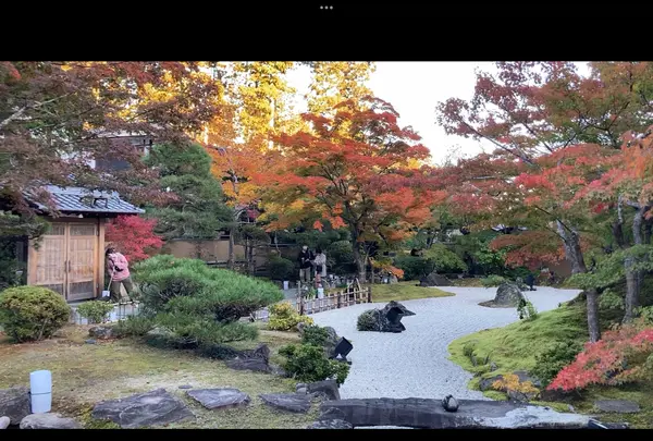 円通院の写真・動画_image_561905