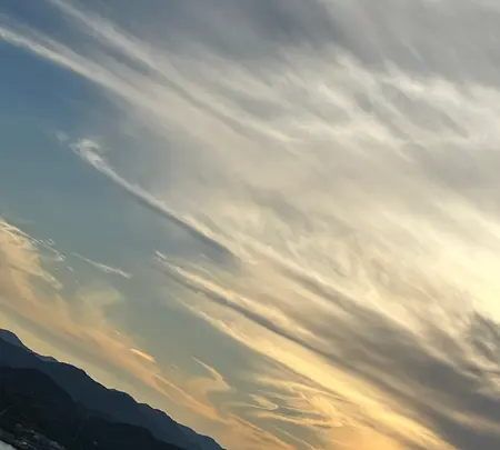 尾道の写真・動画_image_561974