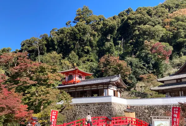 箕面山 瀧安寺の写真・動画_image_562046