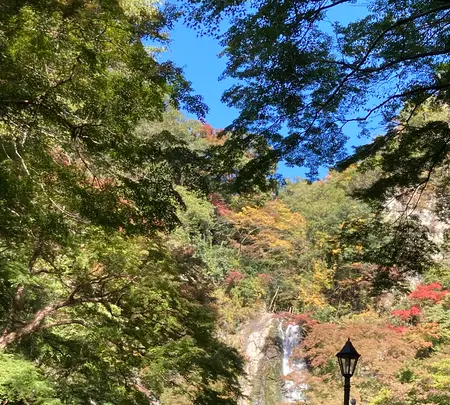 箕面大滝の写真・動画_image_562051