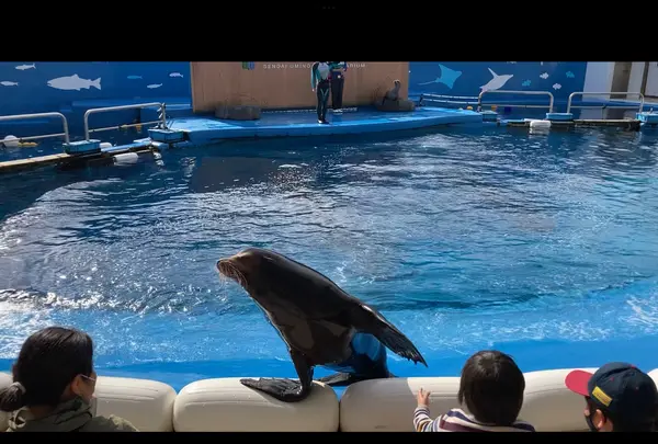 仙台うみの杜水族館の写真・動画_image_562132