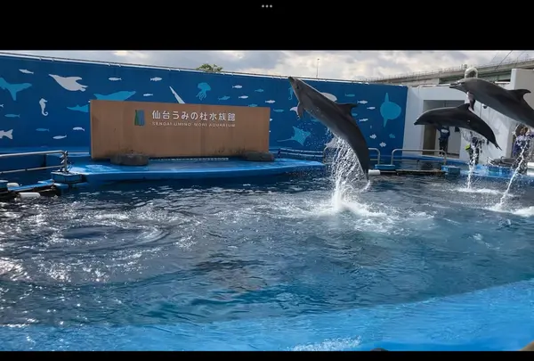 仙台うみの杜水族館の写真・動画_image_562135