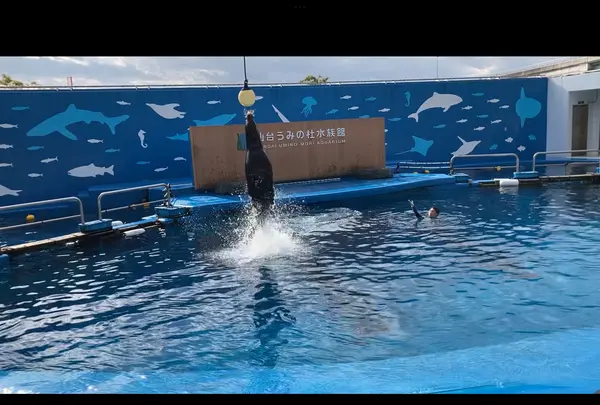 仙台うみの杜水族館の写真・動画_image_562136