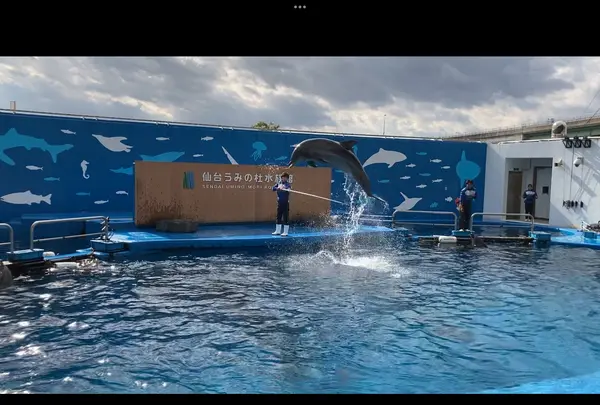 仙台うみの杜水族館の写真・動画_image_562137