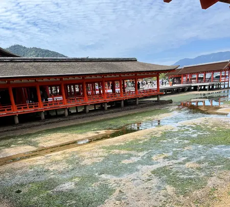厳島神社の写真・動画_image_562177