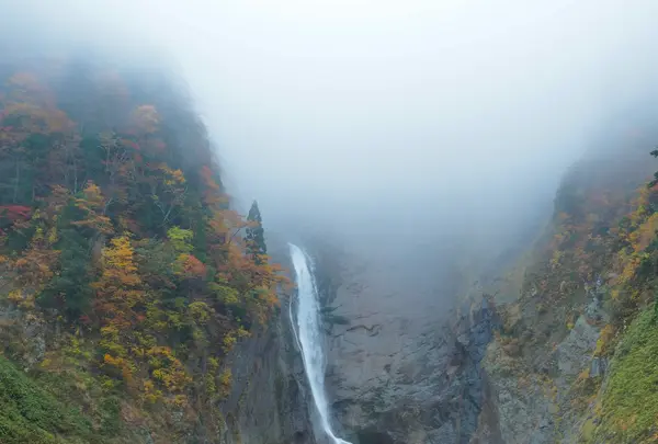 称名滝の写真・動画_image_562210
