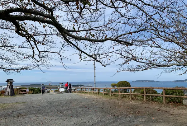 城山公園の写真・動画_image_562769