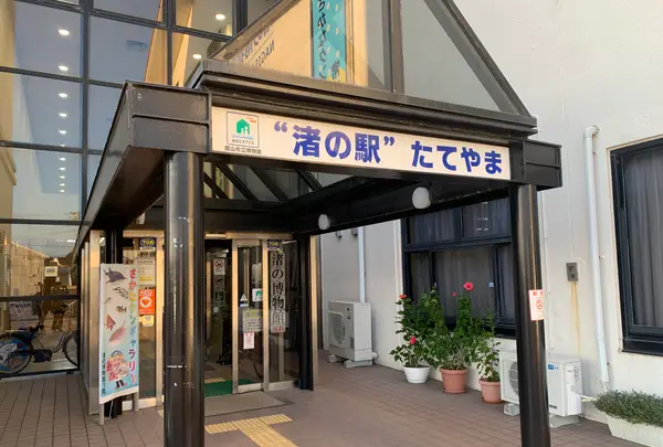 みなとオアシス“渚の駅”たてやまの写真・動画_image_562800