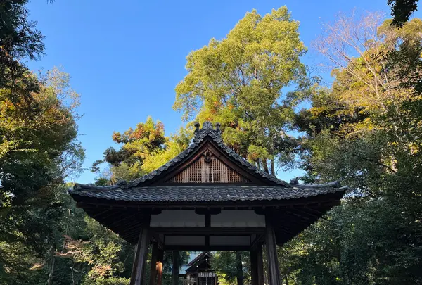 木嶋坐天照御魂神社（蚕ノ社）の写真・動画_image_563305