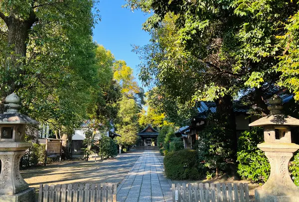 木嶋坐天照御魂神社（蚕ノ社）の写真・動画_image_563306
