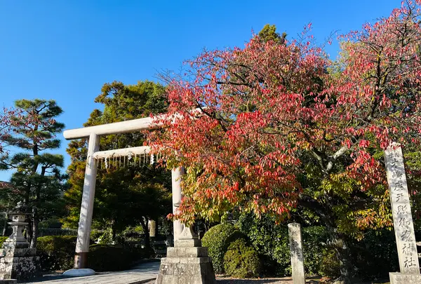 木嶋坐天照御魂神社（蚕ノ社）の写真・動画_image_563307