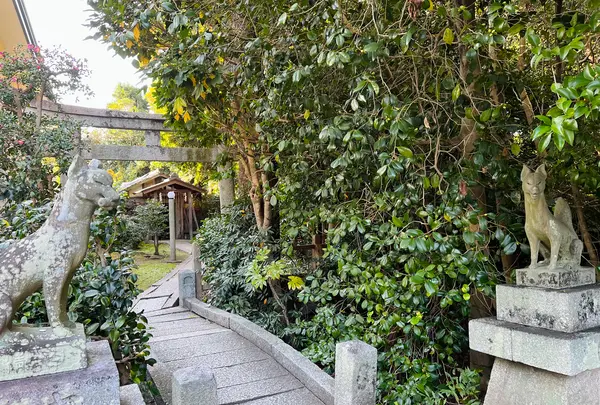 木嶋坐天照御魂神社（蚕ノ社）の写真・動画_image_563308