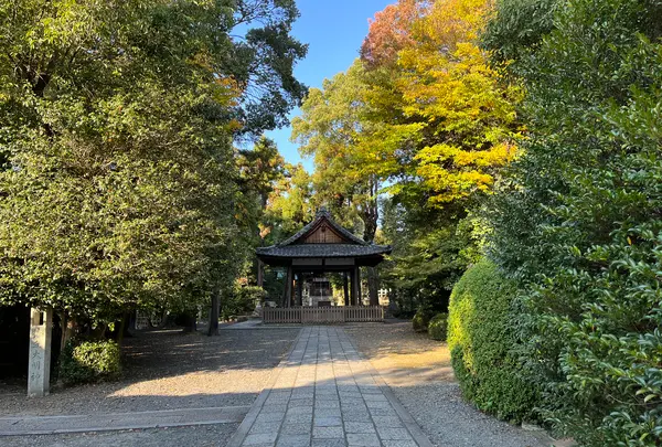 木嶋坐天照御魂神社（蚕ノ社）の写真・動画_image_563309
