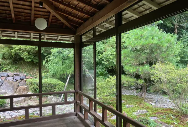 青林寺の写真・動画_image_563322