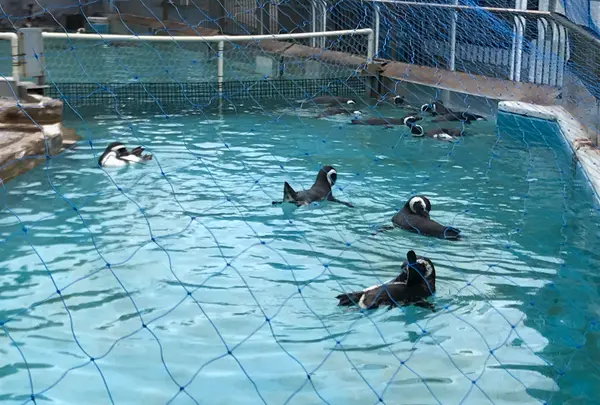 のとじま水族館　の写真・動画_image_563325