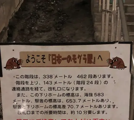 土合駅の写真・動画_image_563743