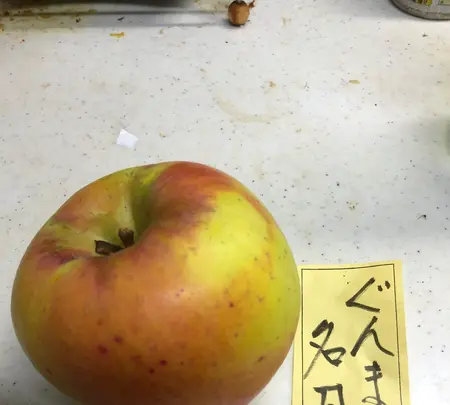 月夜野はーべすとの写真・動画_image_563760