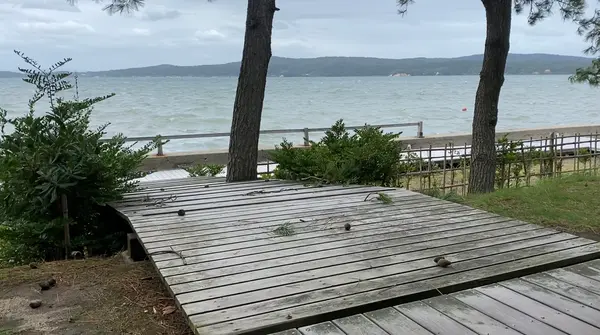 湯っ足りパークの写真・動画_image_563915