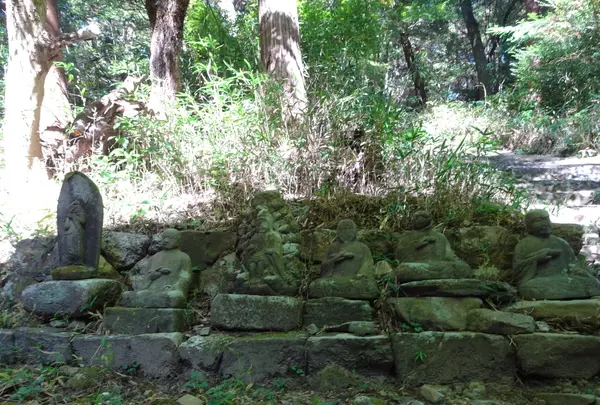 財賀寺の写真・動画_image_564187