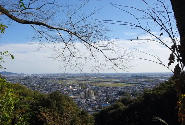 御津山展望台の写真・動画_image_564212