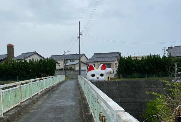 とこにゃんの写真・動画_image_564308