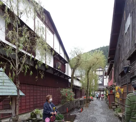やなか水のこみちの写真・動画_image_564448