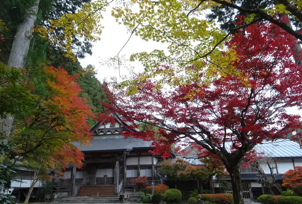 大乗寺の写真・動画_image_564457