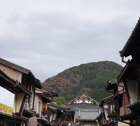 郡上八幡職人町古い町並みの写真・動画_image_564458