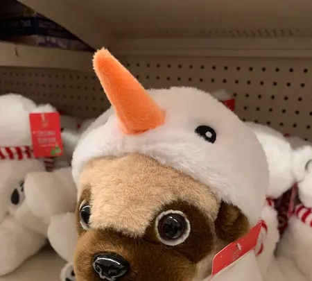 Kmart（Kマート）の写真・動画_image_564474