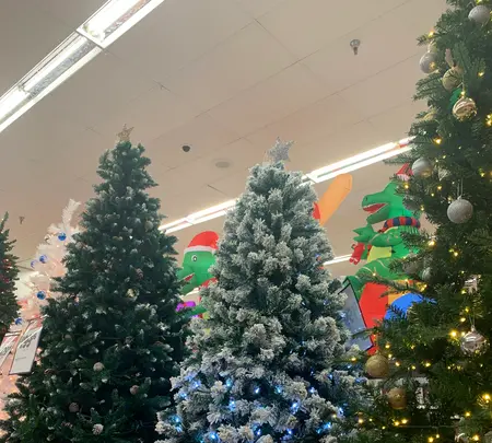 Kmart（Kマート）の写真・動画_image_564478