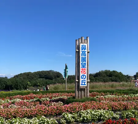 鼻高展望花の丘の写真・動画_image_564532