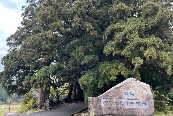 平泉寺白山神社の写真・動画_image_564571