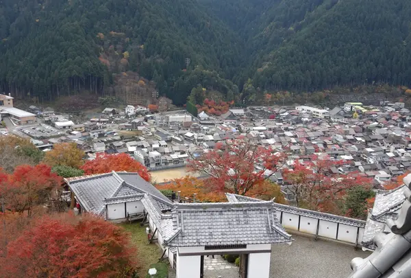 郡上八幡城の写真・動画_image_564748