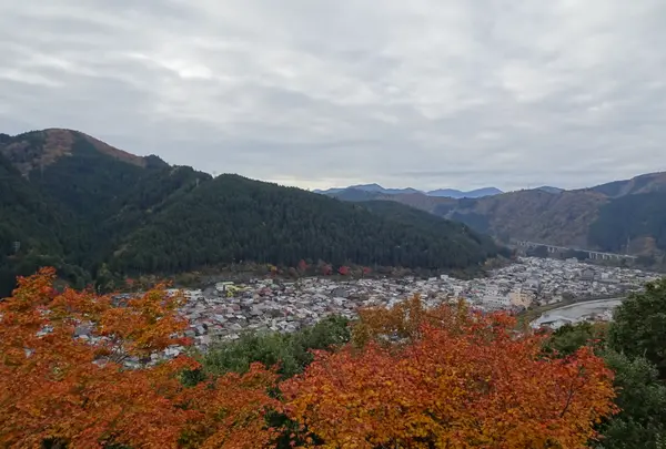 郡上八幡城の写真・動画_image_564750