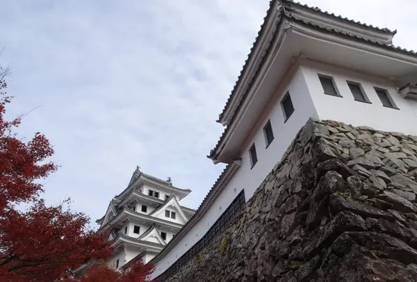 郡上八幡城の写真・動画_image_564753
