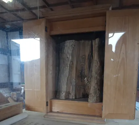 郡上八幡城の写真・動画_image_564755