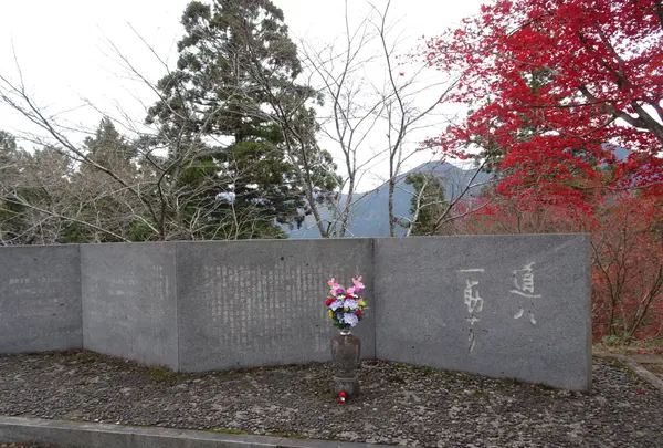 郡上八幡城の写真・動画_image_564756