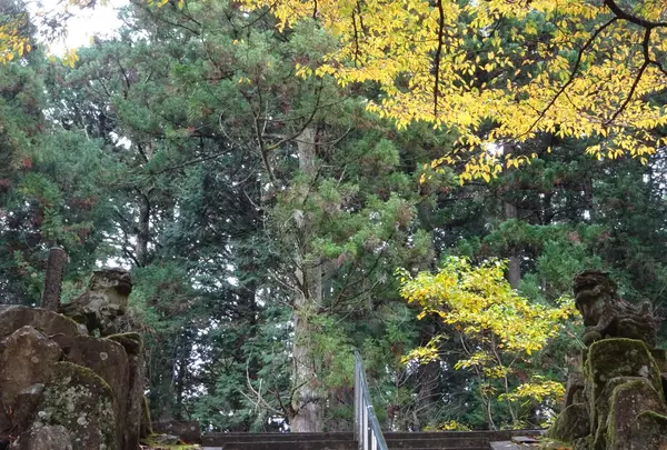 根道神社の写真・動画_image_564758