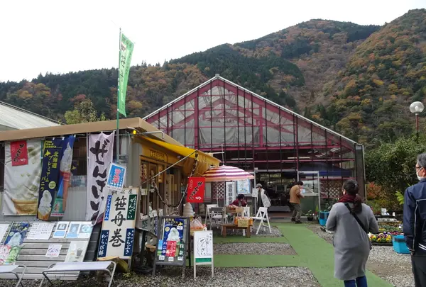モネの池（名もなき池）の写真・動画_image_564764