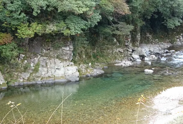 モネの池（名もなき池）の写真・動画_image_564768