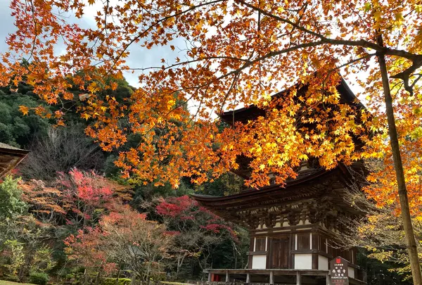石山寺の写真・動画_image_564922