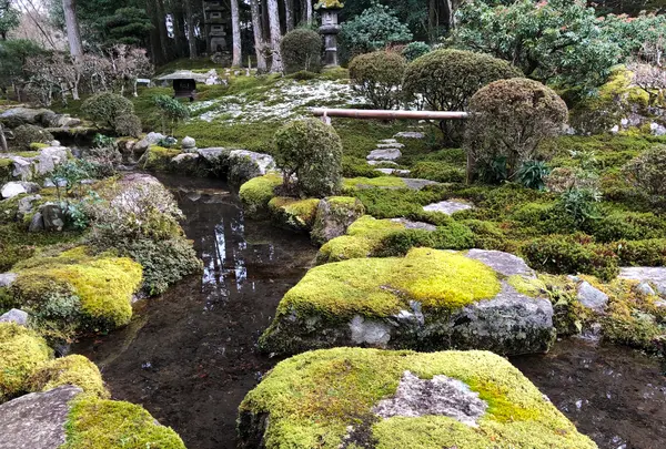 旧竹林院の写真・動画_image_564945